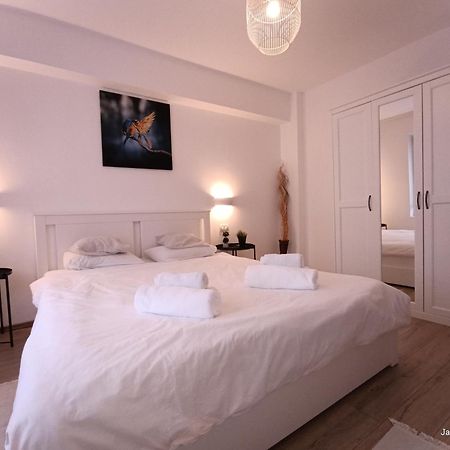 Cozy Apartment City Center Βουκουρέστι Εξωτερικό φωτογραφία